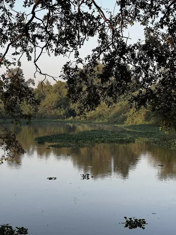 Lac bordé de végétation au parc urbain Bangr-Weoogo